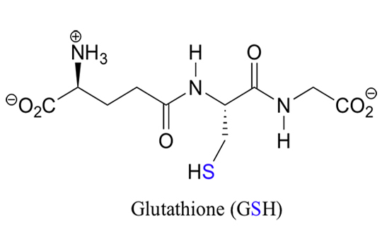 L-Glutathione và Glutathione khác nhau như thế nào?