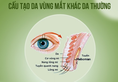 5 lợi ích khi sử dụng kem mắt