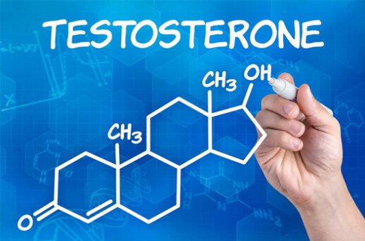 Mức testosterone điển hình ở nam và nữ